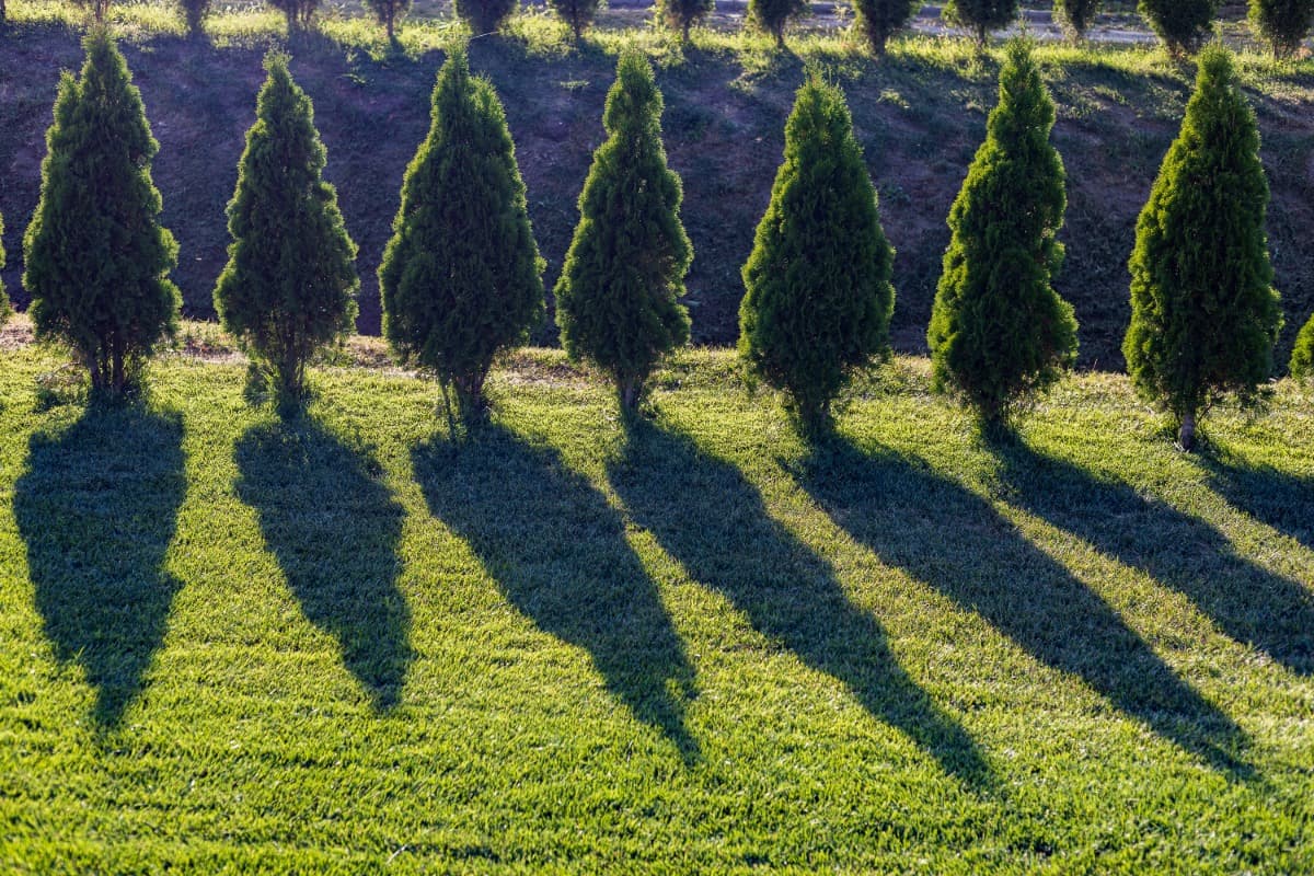 Grief and Loss Circle
