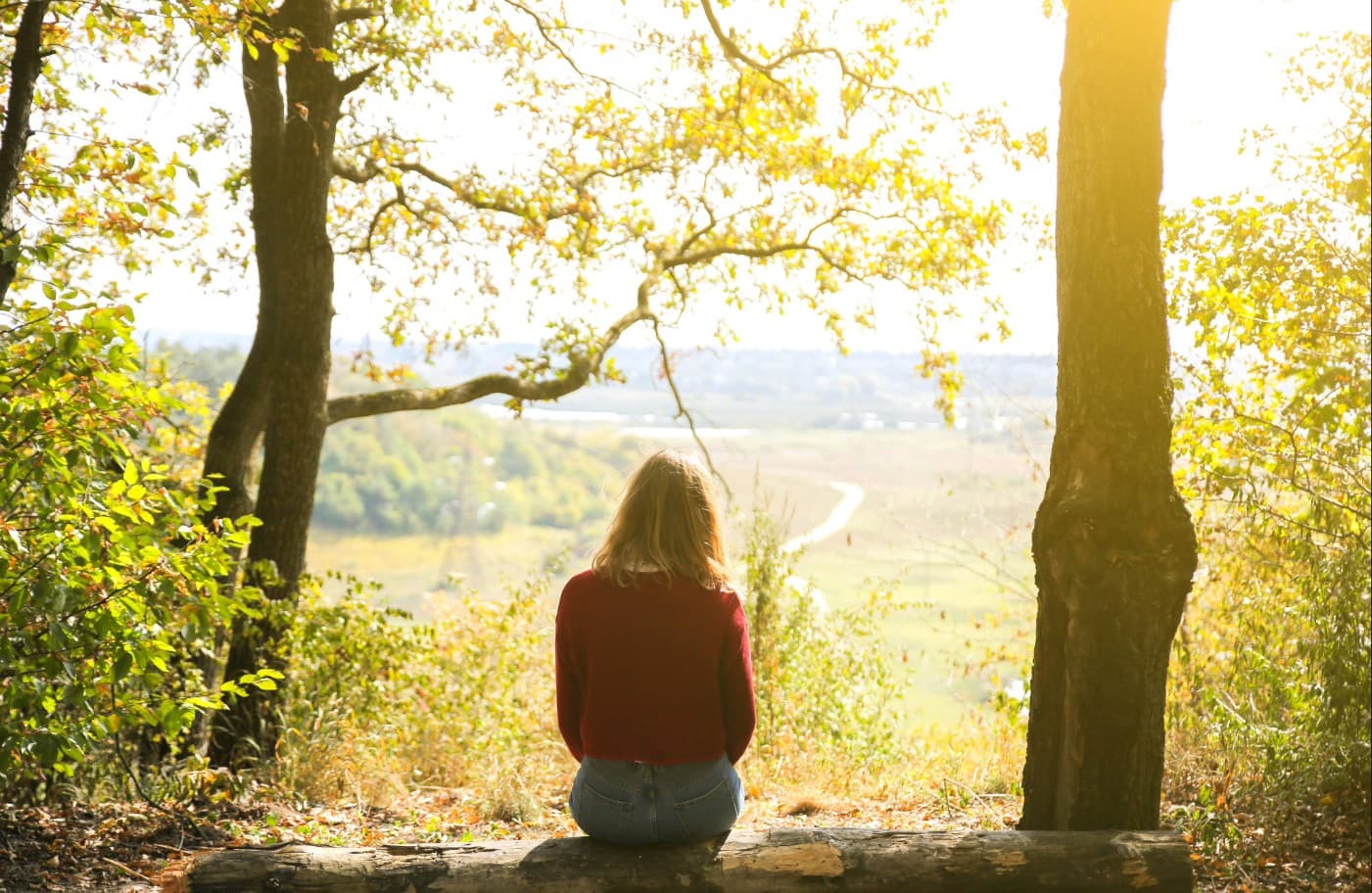A quiet tree-lined path symbolising a therapeutic journey