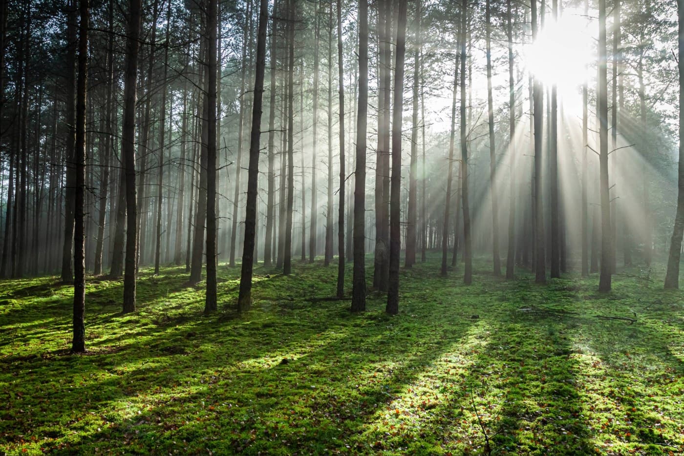 Beyond Addiction Retreat Sept 2026